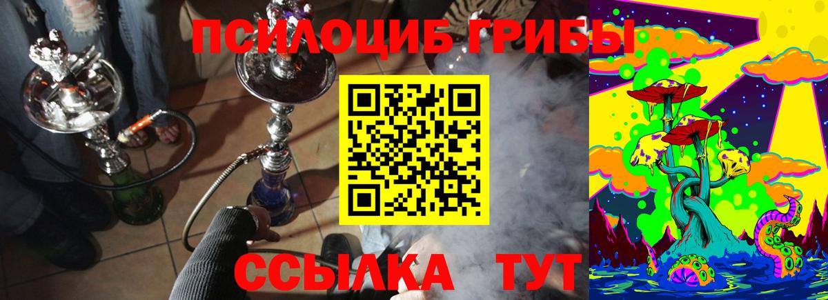 Галлюциногенные грибы MAGIC MUSHROOMS Свободный